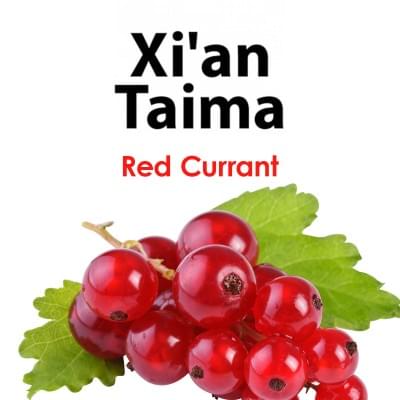 Ароматизатор Xi'an Taima - Red Currant | Вэйп клаб Казахстан